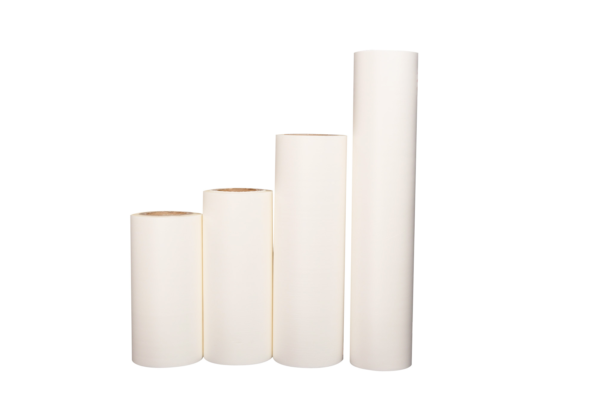 filme de estimação