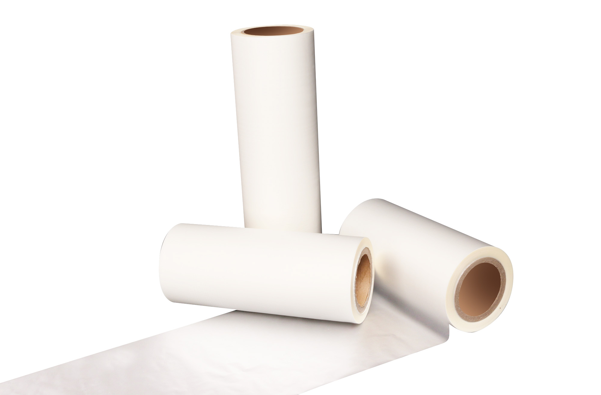 películas térmicas para animais de estimação